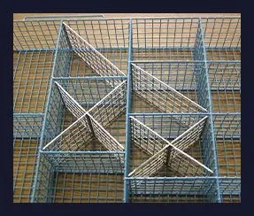 Mesh Carrier