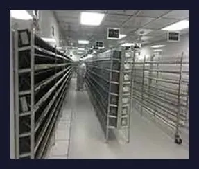 Stainless Steel Wire Racks